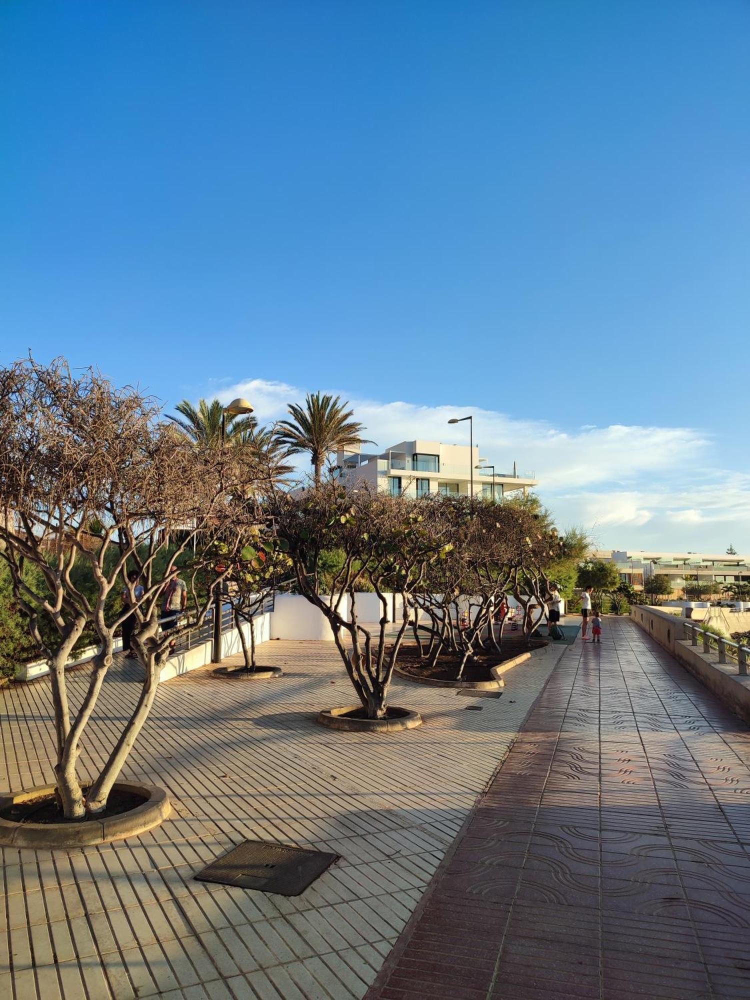 Margherita House Tenerife, Wonderful Ocean View Palm-mar Extérieur photo